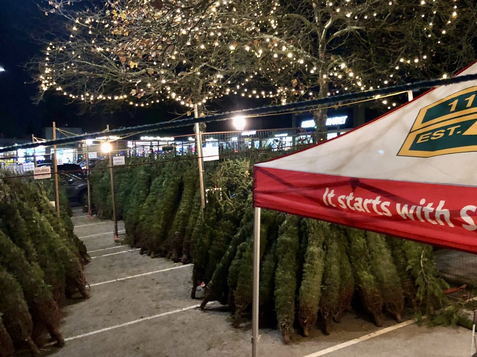 North Vancouver Scouts Christmas Trees
